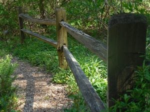wooden-735619_640