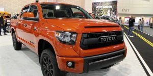 tundra