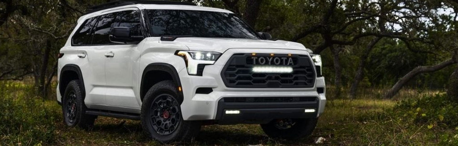 2023 Toyota Sequoia