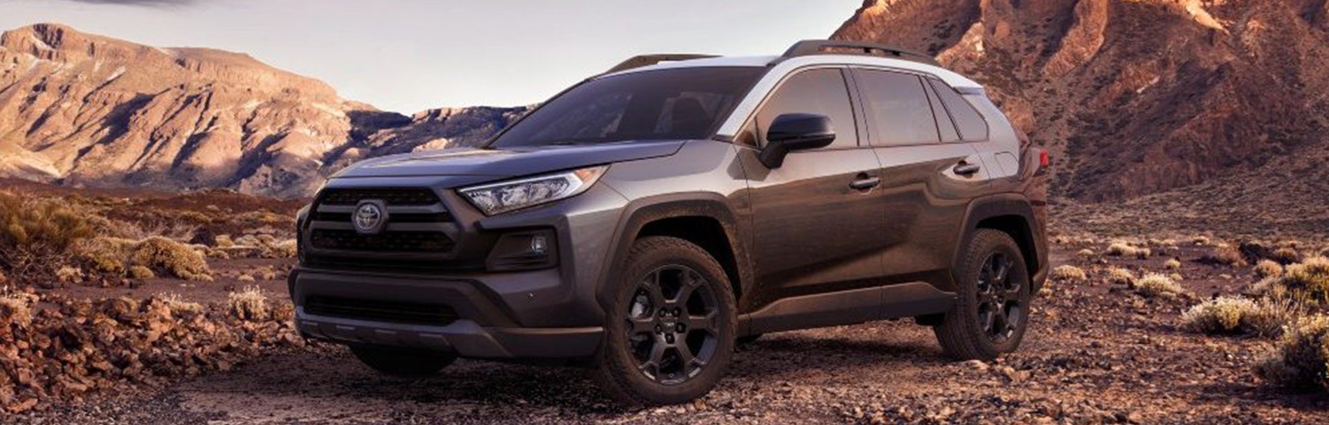 2021-rav4
