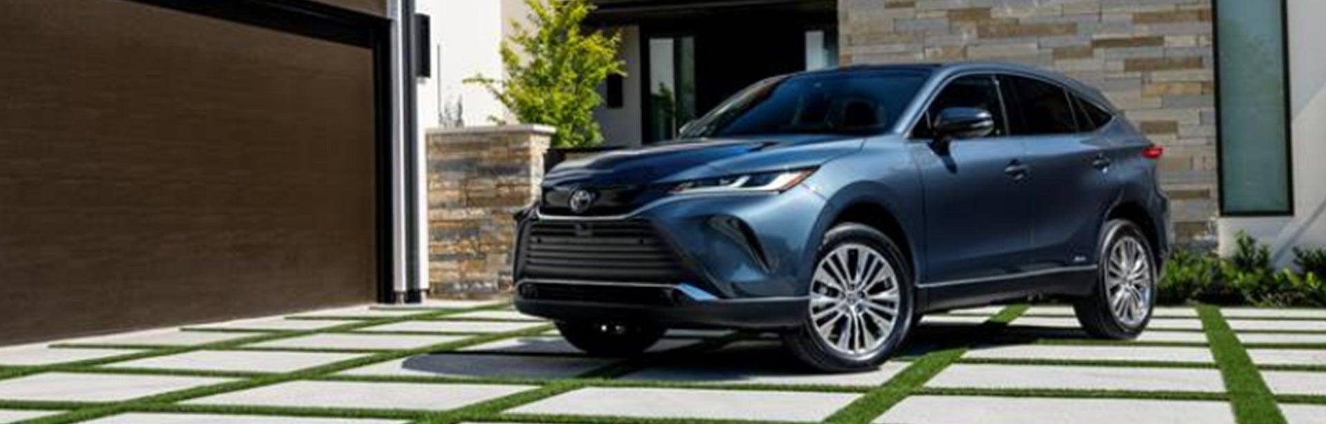2022-venza