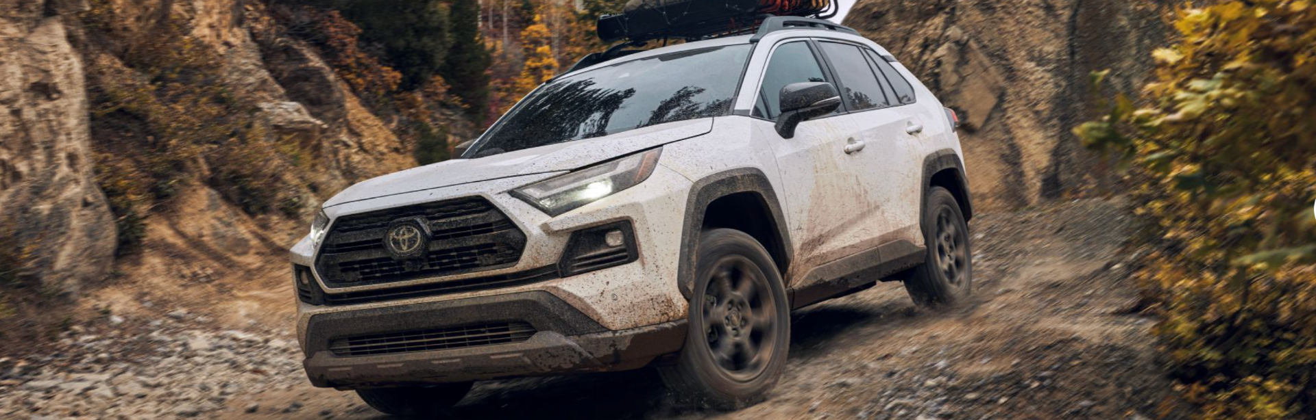 2024_Toyota_RAV4