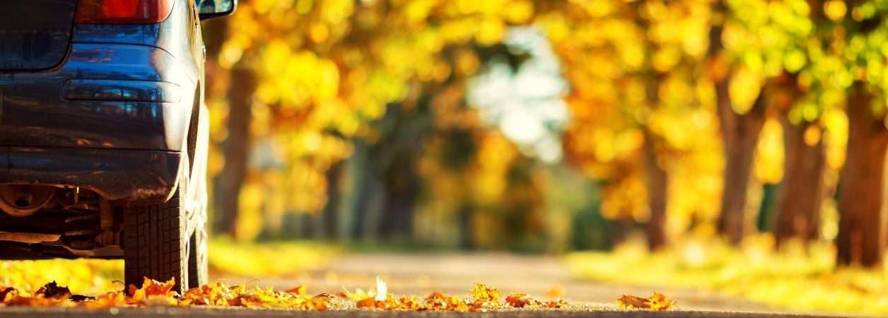 image for article titled Car Service Tips to Help Prep Your Car for Fall