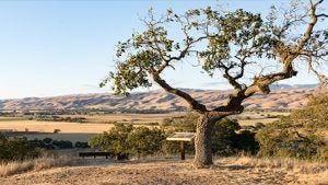 Hidden Gems in Morgan Hill, CA | The Ford Store Morgan Hill