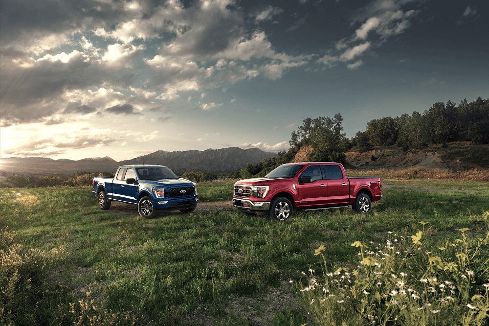 2 Ford F-150's parked in a grassy pasture 