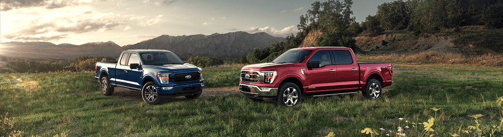 Blue and Red Ford F-150s Sitting on a Hillside
