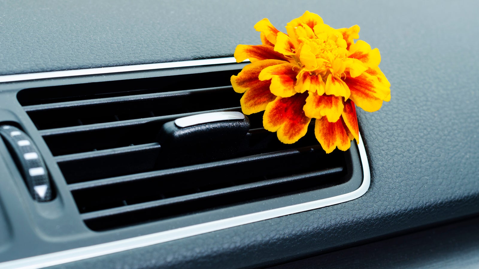 How to Get Bad Smells Out of Your Car