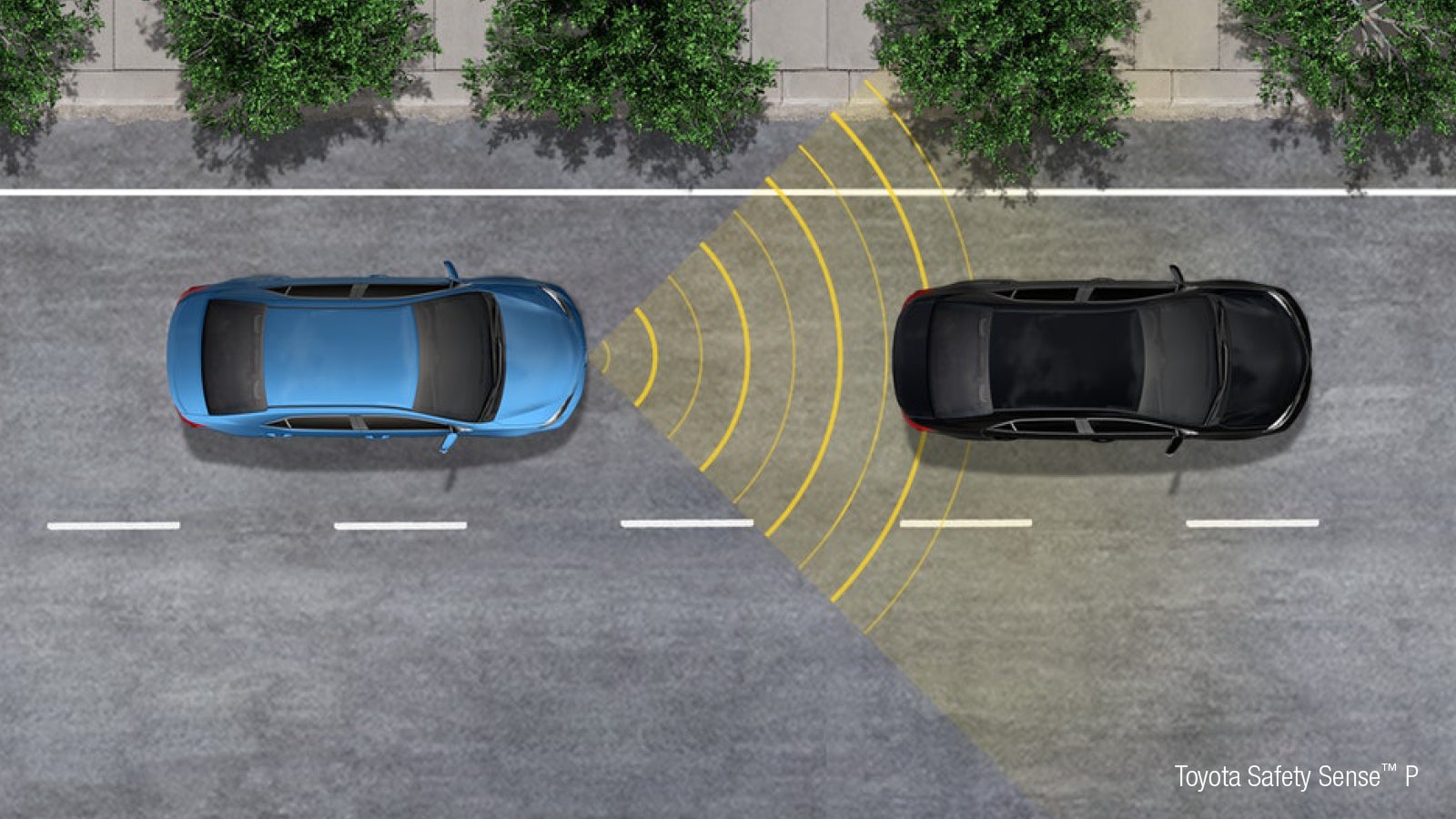 2019 Toyota Avalon Safety Features