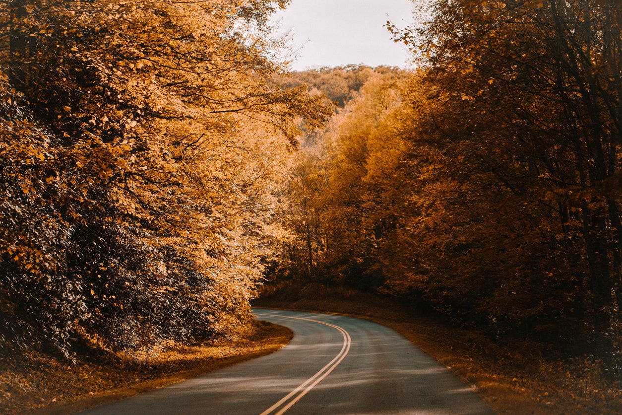Curvy Road in Fall