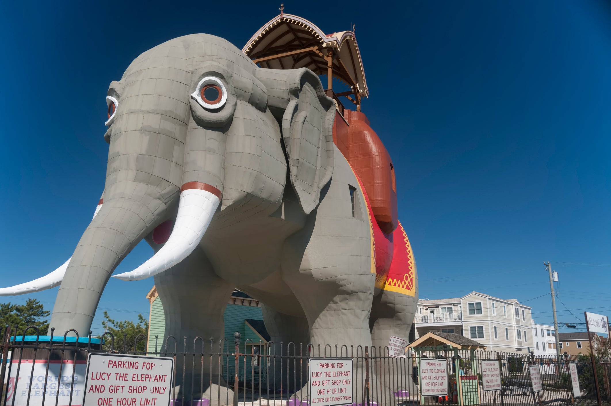Lucy the Elephant - Editorial