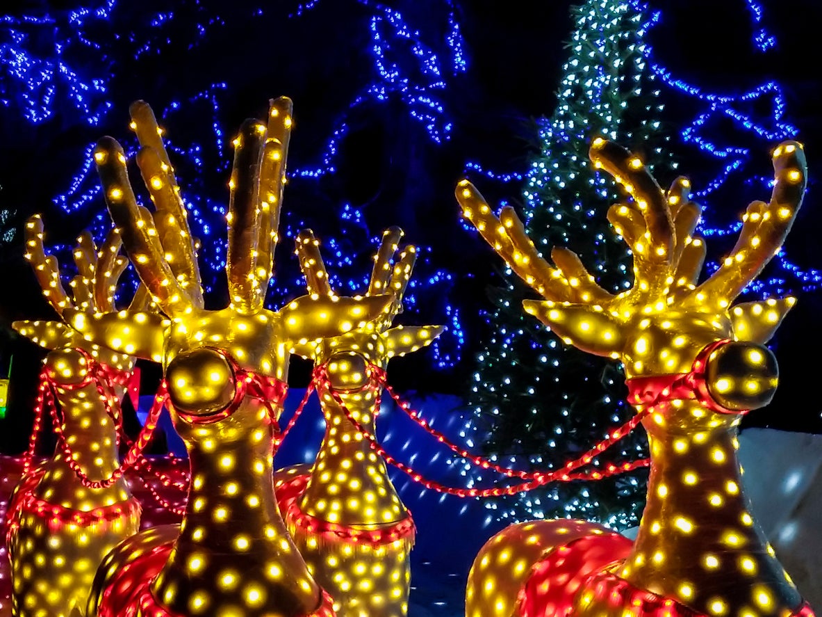 Christmas lights