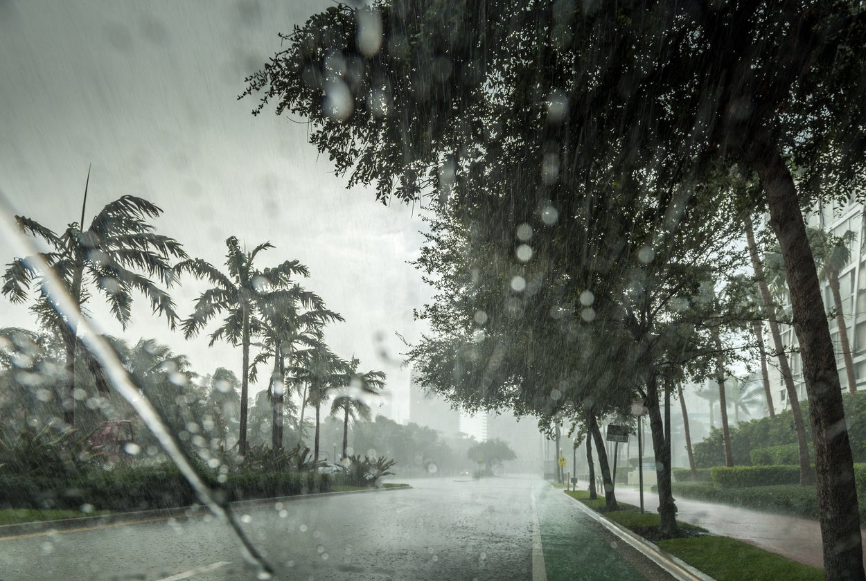 Tropical rain