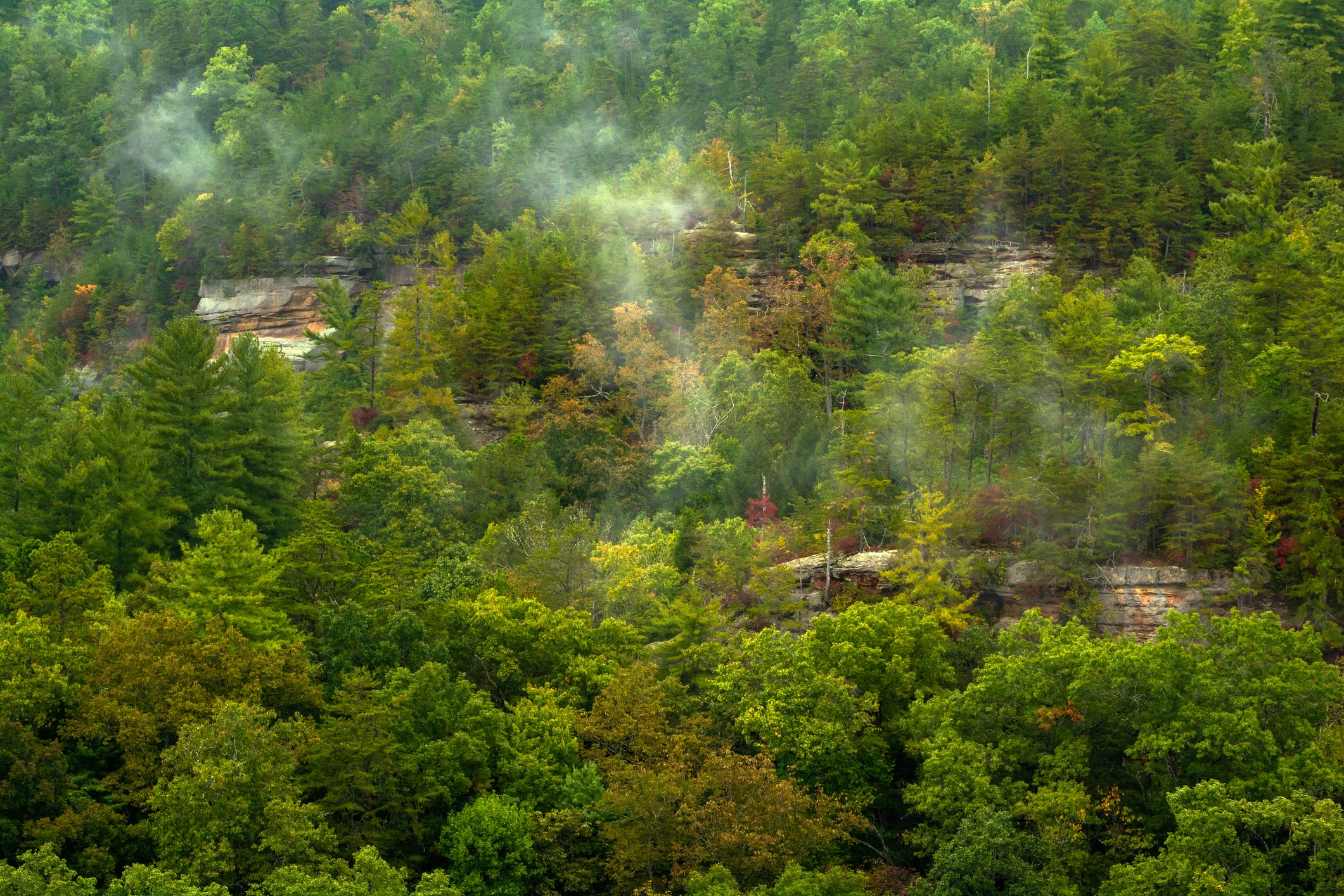 Red River Gorge