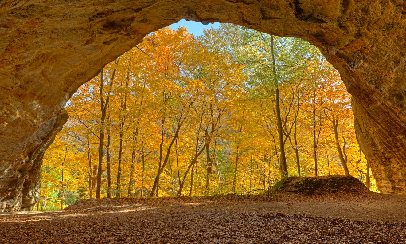 The Council Overhang