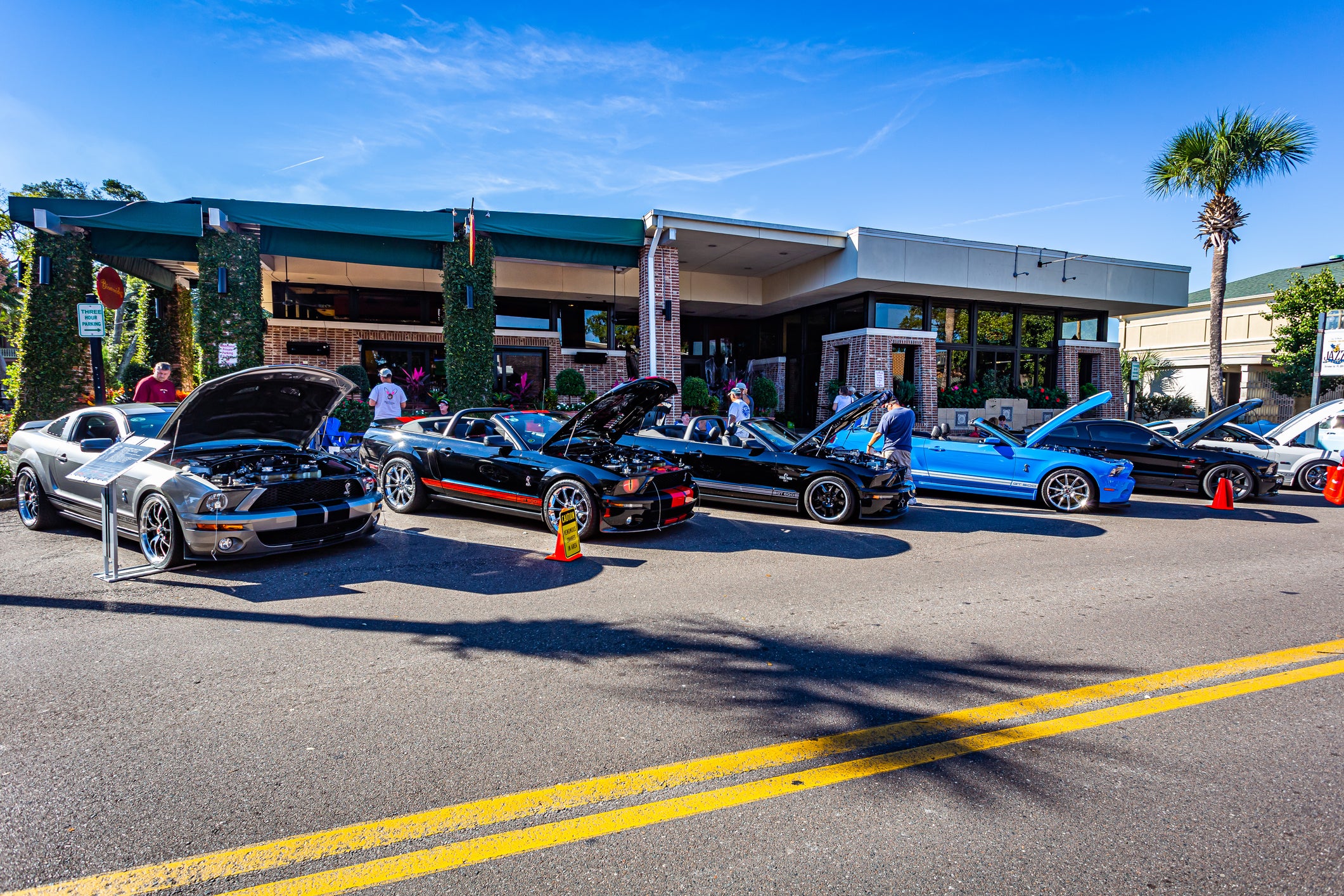 Ford Mustang Cobra Convertibles and Coupes