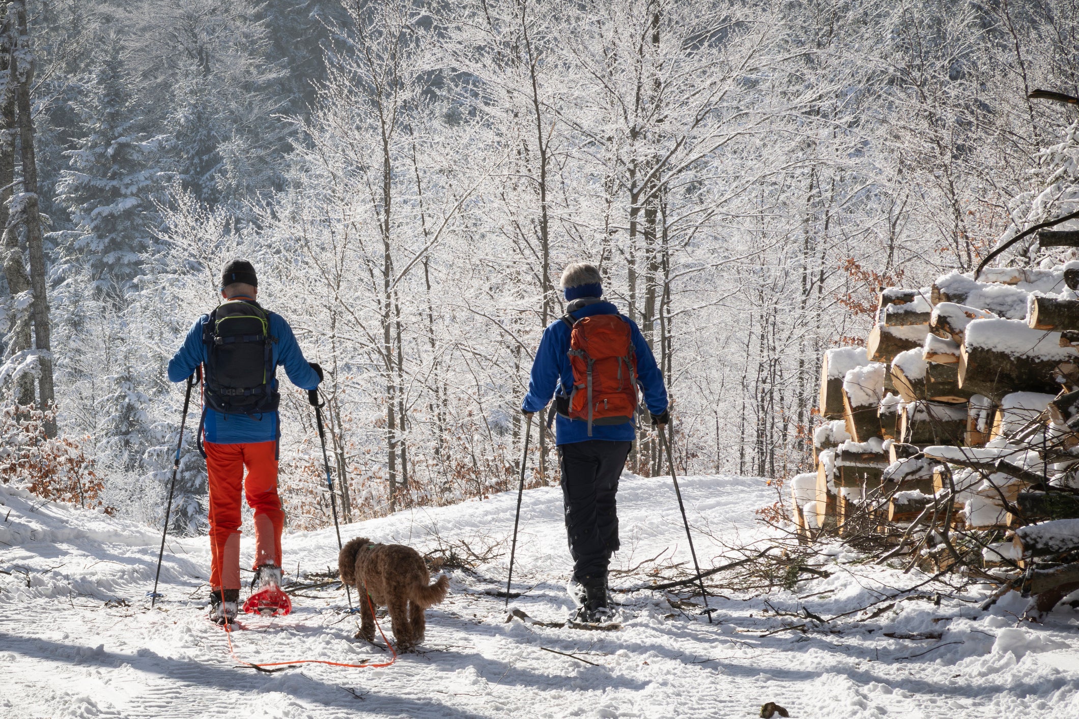 Scenic snowshoeing.