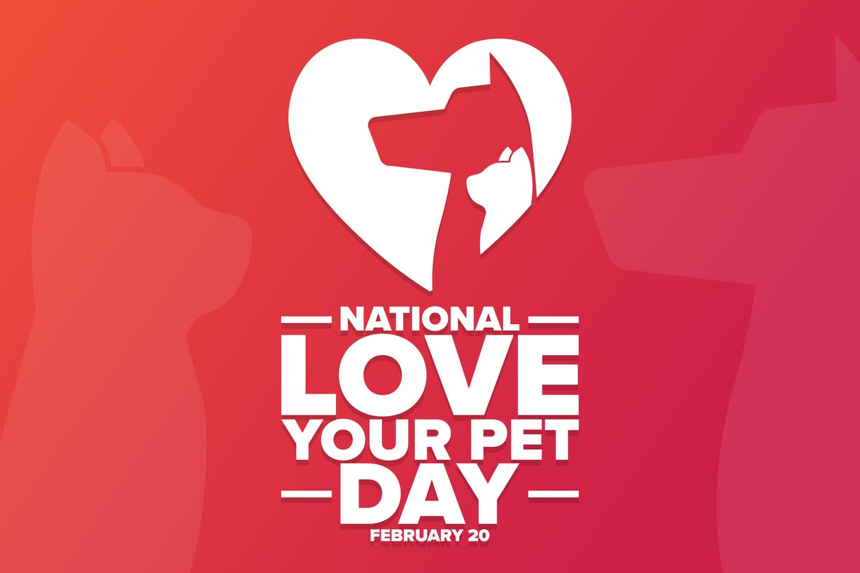 National Love Your Pet Day. February 20. Holiday concept. Template for background, banner, card, poster with text inscription. Vector EPS10 illustration.