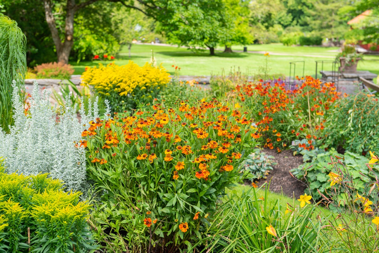 Orange flowerbed