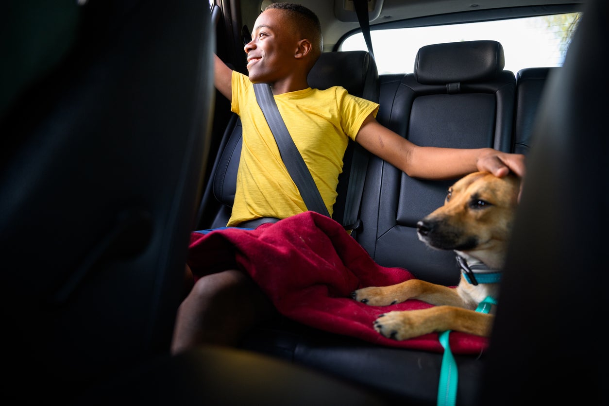 Teenage boy wearing seat belt petting his dog in car