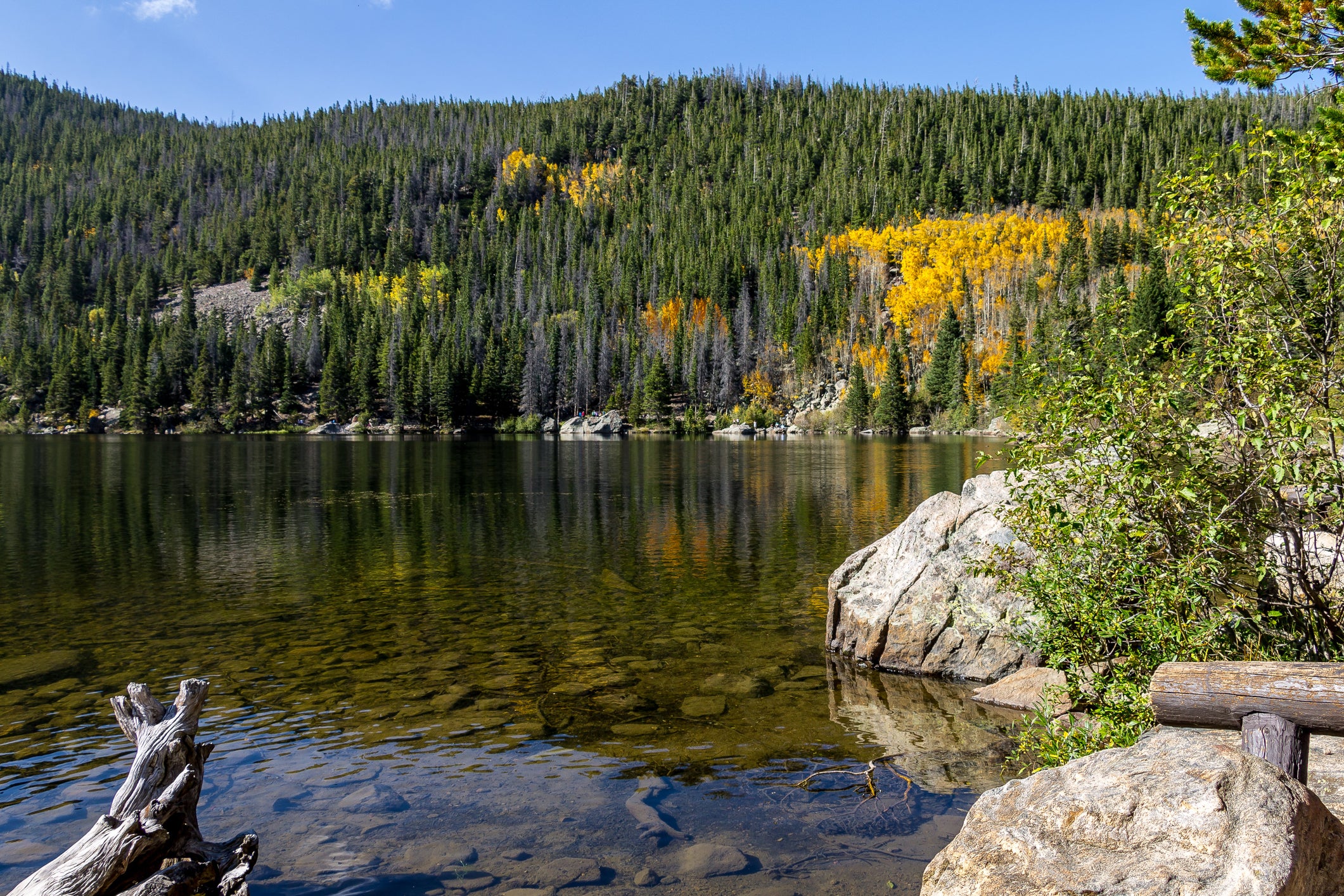 Roosevel National Forest North Central Colorado