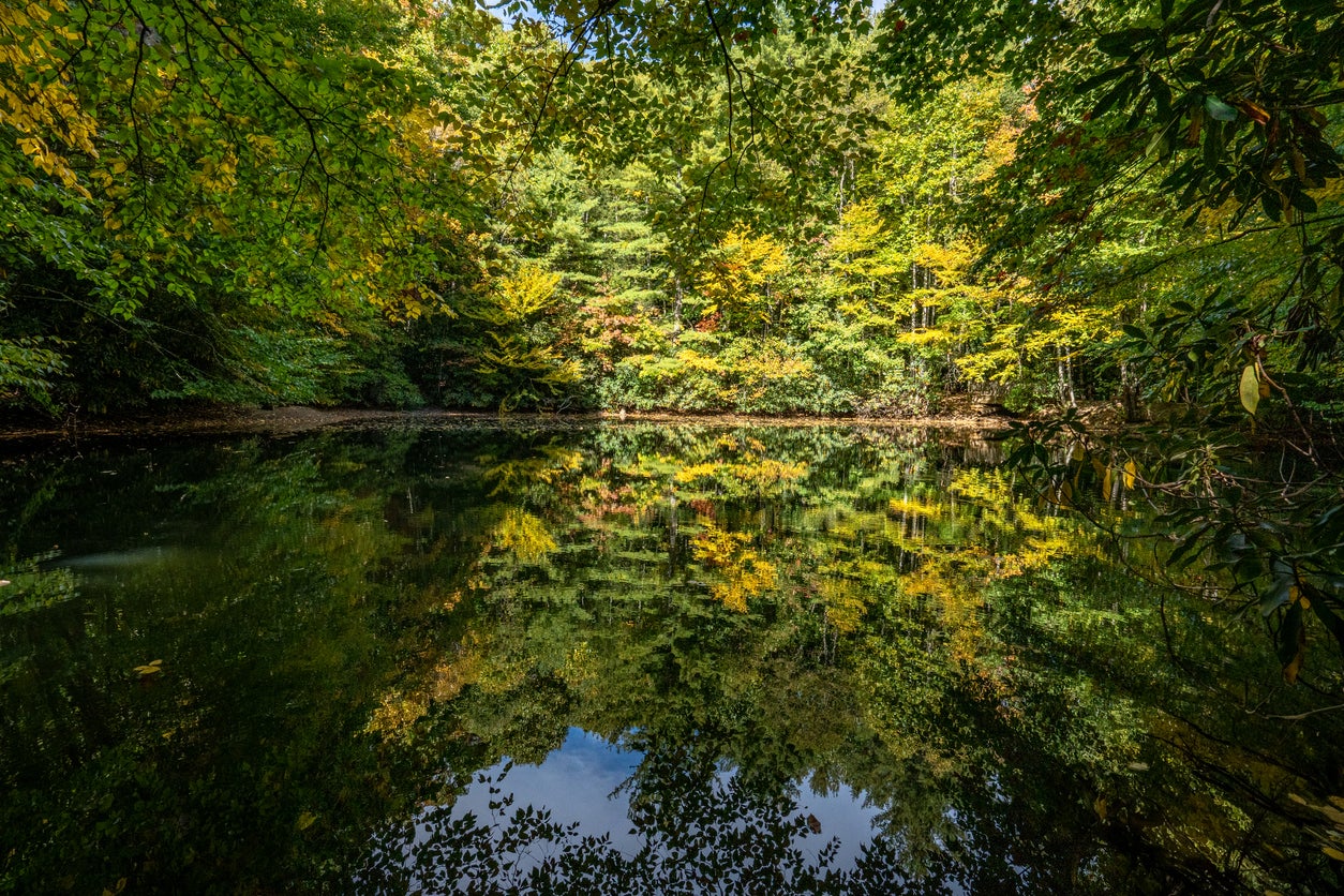 Beautiful Fall Foliage of Pisgah National Forest reflected in a Lake Around Asheville North Carolina USA
