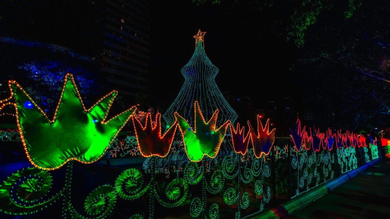 Christmas Tree Illuminated