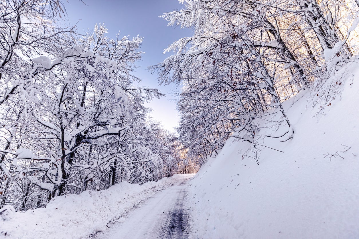 Road in a snowy forest in the mountains in Lombardy, Italy.