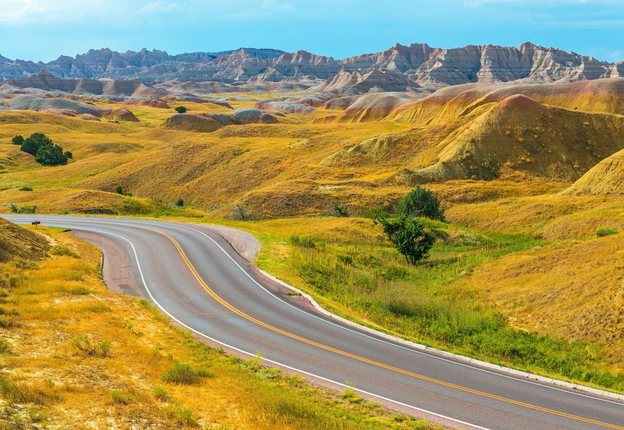 Yellow Mount Badlands National Park