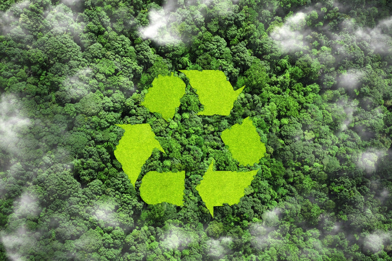 recycling waste concept. recycling sig green grass in the forest. Idea for reuse for recycling environmental protection world. ecological waste management and a sustainable and economical lifestyle.
