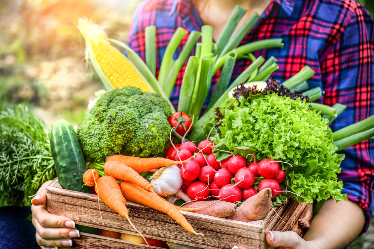 Composition with assorted raw organic fresh vegetables.