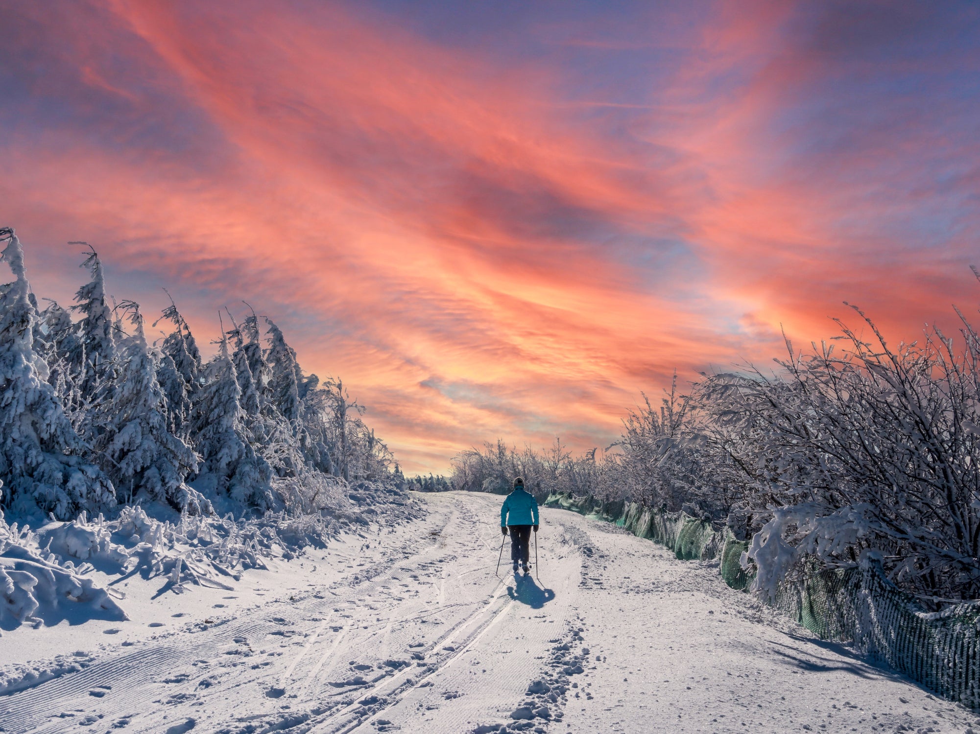 Cross-country skis in the winter sports area