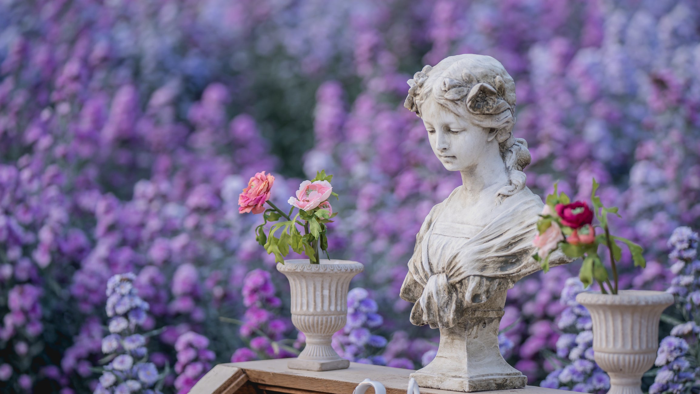 Flower Photo