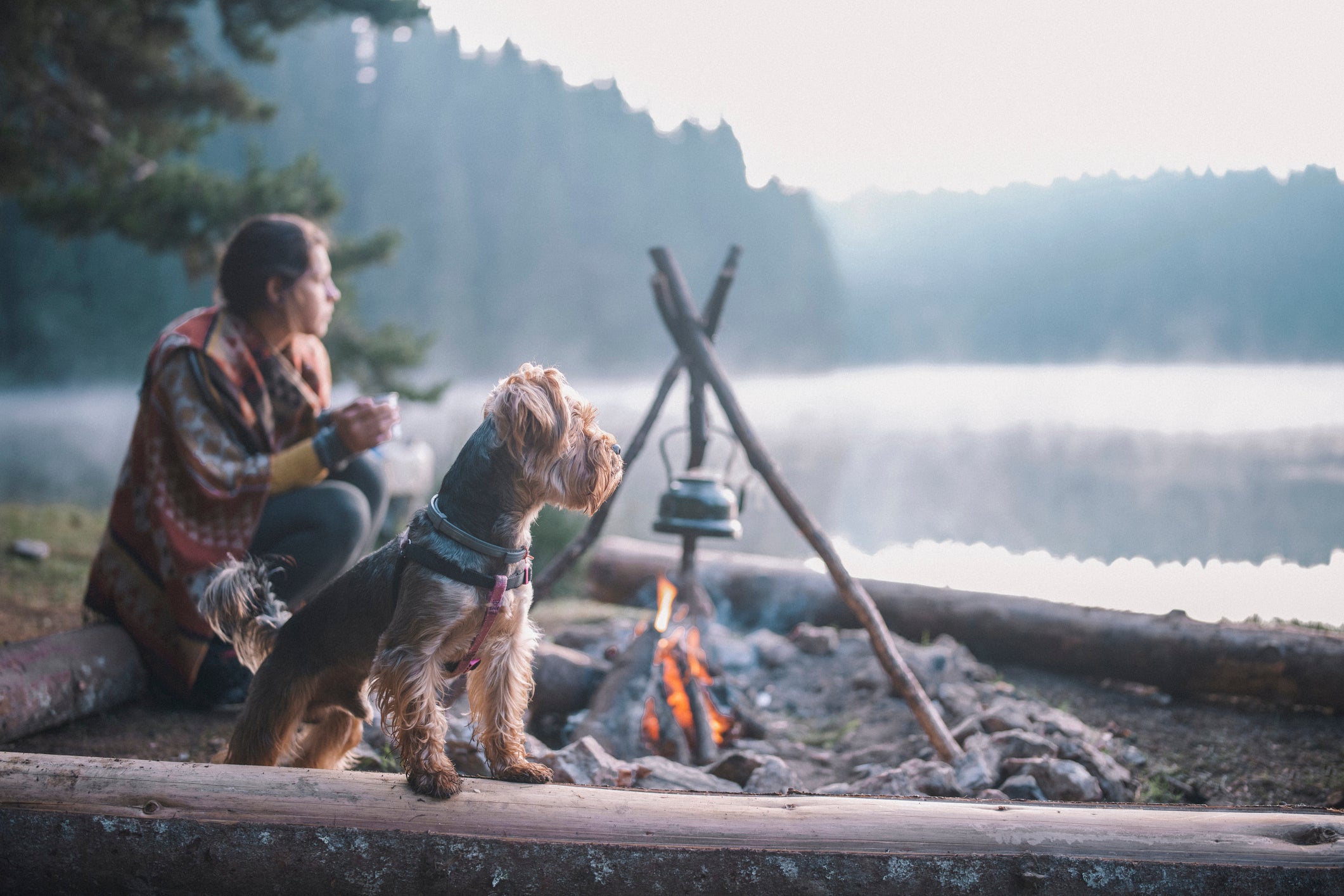 Young Female Is Sitting And Drinking Tea Next To The Campfire With Her Dog