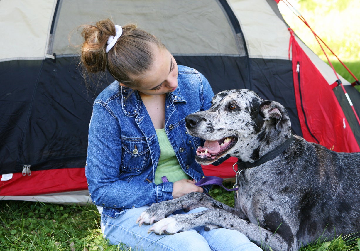 Teen girl in jeans and jean jacket with Great Dane