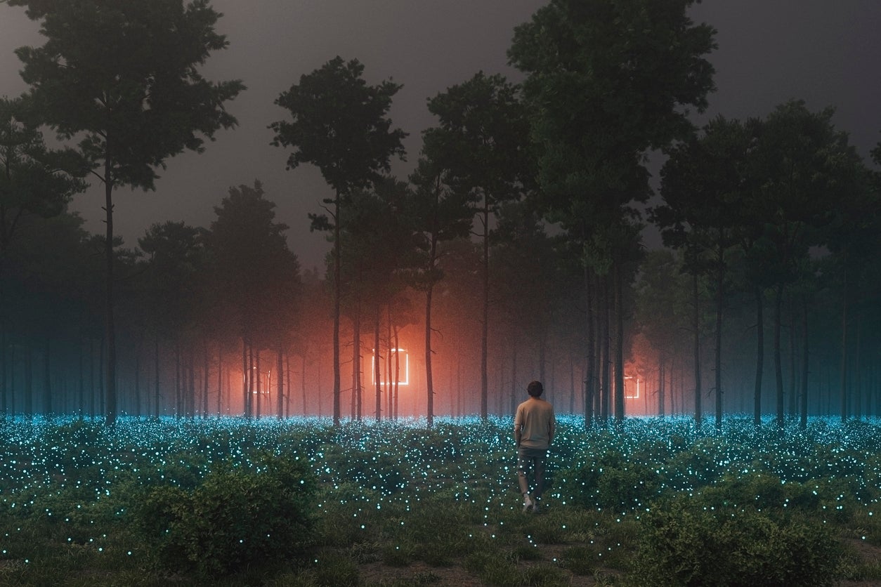 Man in forest walking towards mysterious object