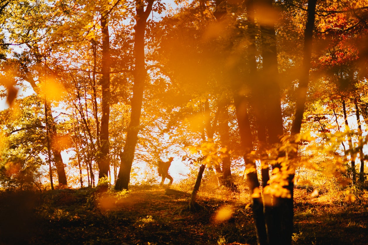 Man hiking alone on a beautiful Autumn day in Upstate New York