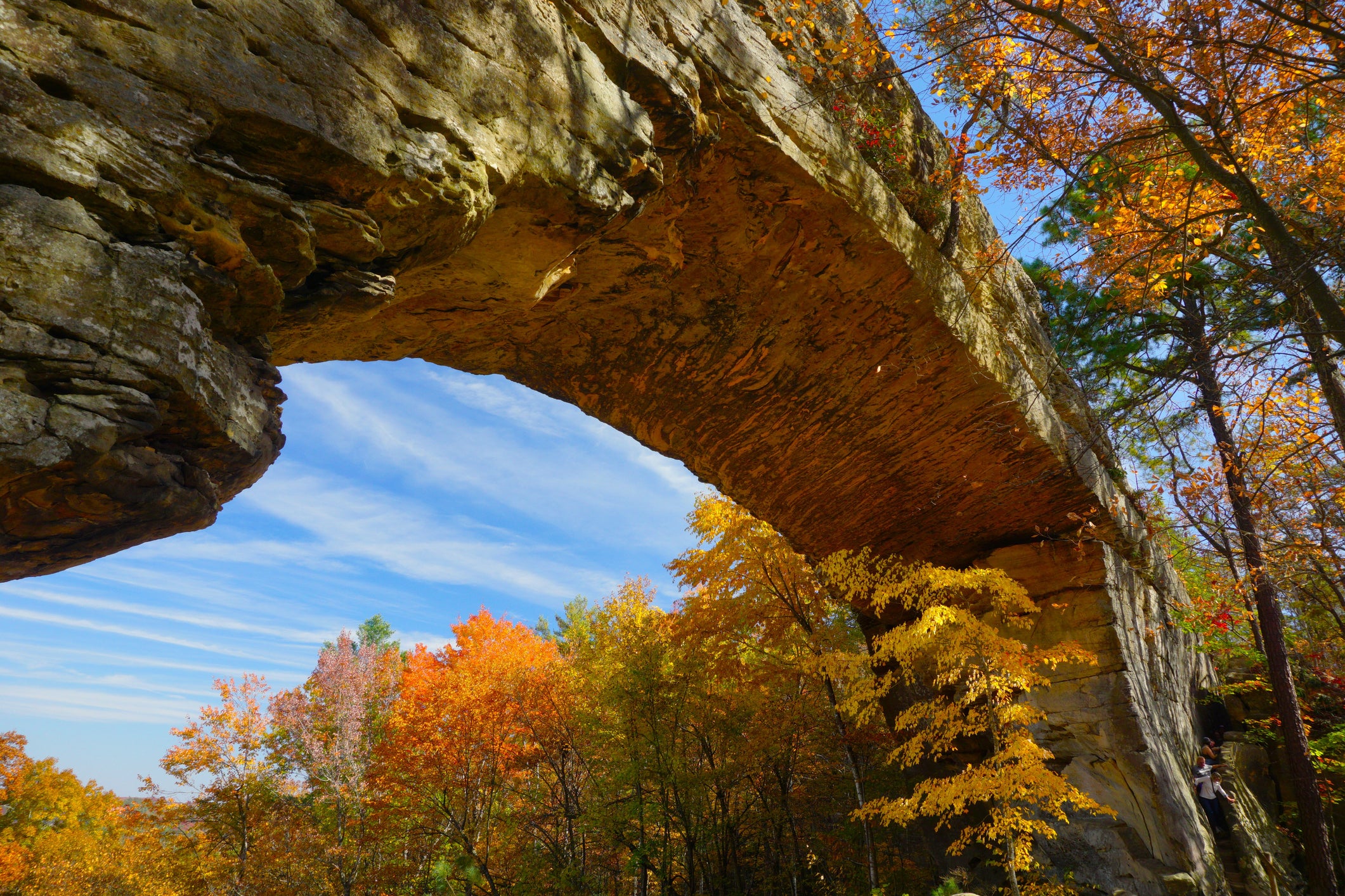 Natural Bridge State Resort Park Red River Gorge Kentucky
