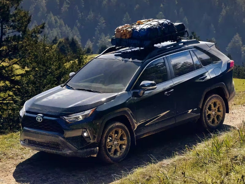 Pueblo Toyota - Introducing the Toyota RAV4 Hybrid Woodland Edition near Canon City CO