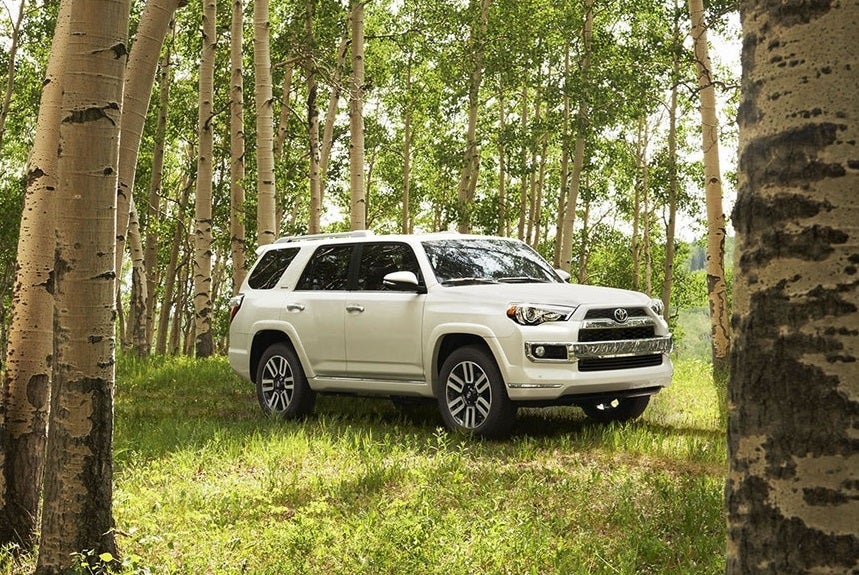 Safety Features 2018 Toyota 4Runner Pueblo 