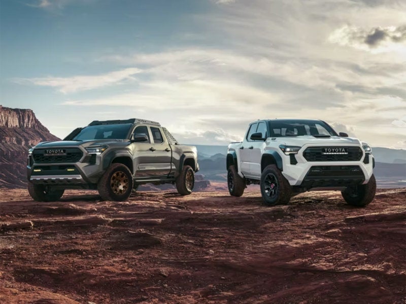 Pueblo Toyota - The 2024 Toyota Tacoma arrives in style near Florence CO