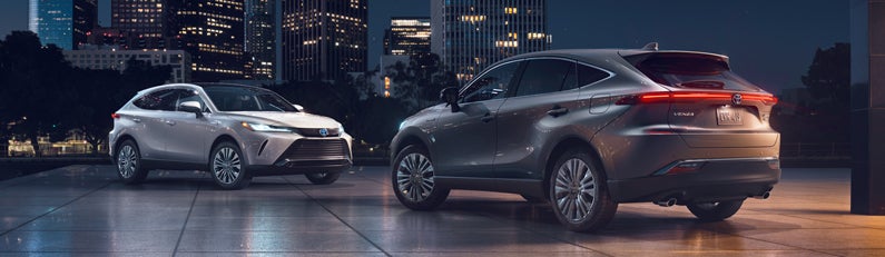 2021 Venza
