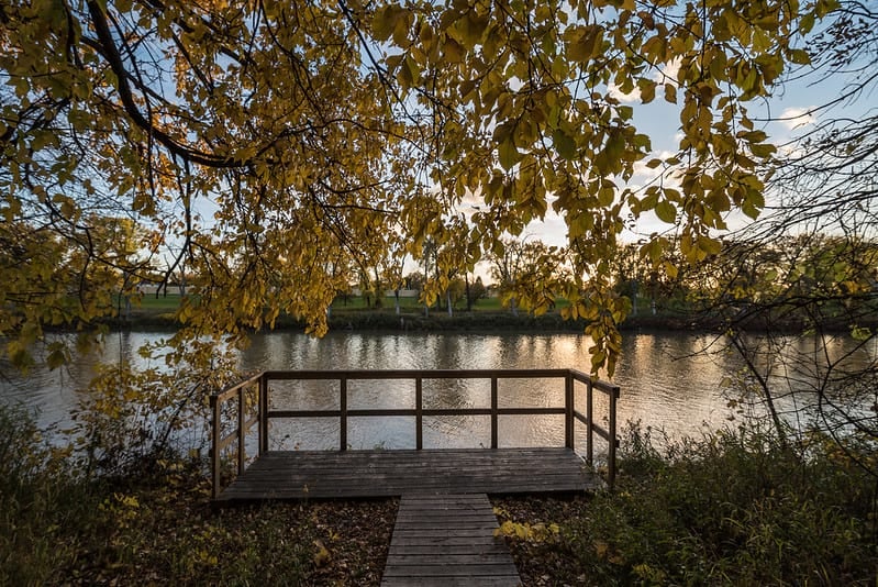 Overlook at lake for fishing with tree branches hanging over it