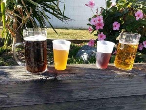 beer festival 10628641_10203926331113015_6746923330266181130_o