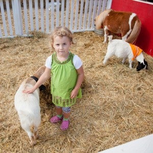 Petting zoo