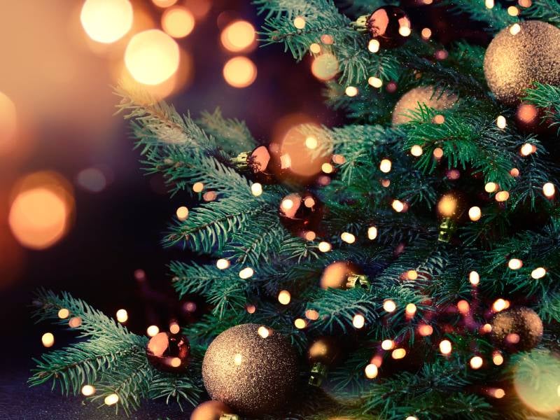 close up of a christmas tree with lights on it