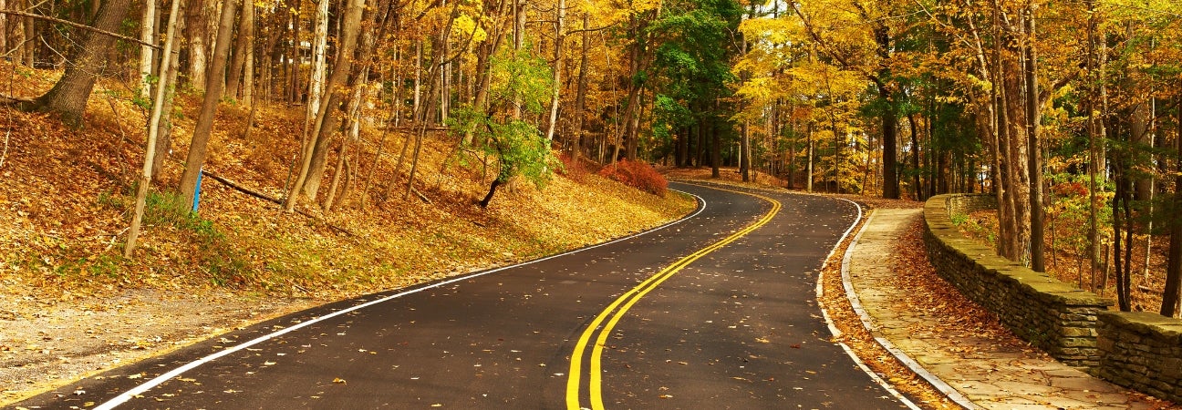 fun fall activities crystal lake IL