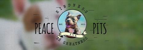 peace for pits