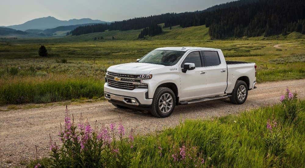 white chevy truck 