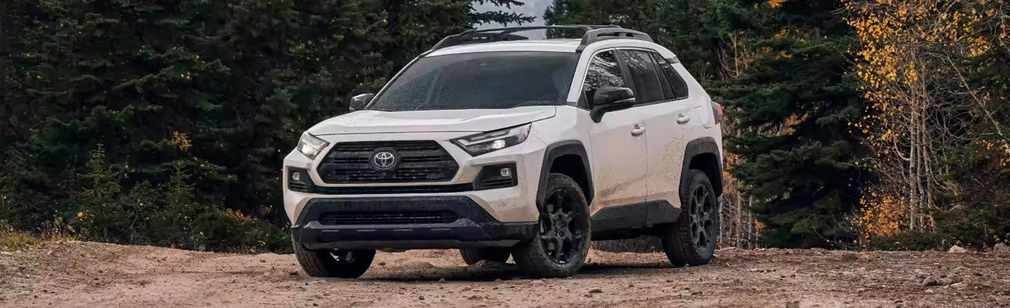 2024 Toyota RAV4