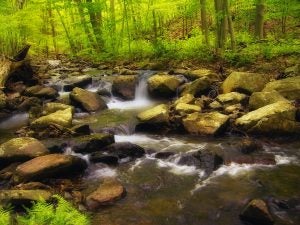 New Jersey State Parks | Clinton Honda